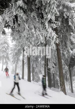 Oberwiesenthal, Deutschland. Februar 2020. Wintersportler fahren auf dem Fichtelberg durch den Winterwald. Am selben Tag beginnen die zweiwöchigen Winterferien in Sachsen. Nach den warmen Tagen mit viel Regen hoffen die sächsischen Skigebiete nun wieder auf kaltes Wetter und Schneefall. Kredit: Jan Woitas / dpa-Zentralbild / dpa / Alamy Live News Stockfoto