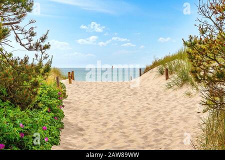 Weg durch die Dünen zum Strand an der Ostsee in der Nähe von Darßer Ort, Mecklenburg-Vorpommern, Deutschland Stockfoto