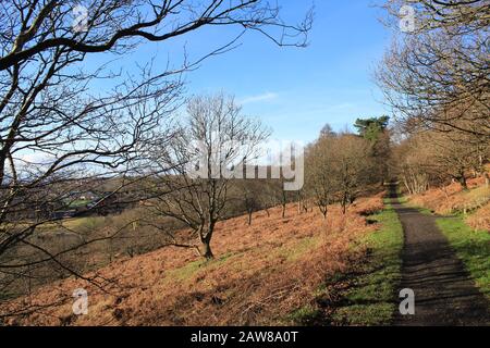 Winterblick auf Bluebell Woods, Drumchapel, Glasgow, GB Stockfoto