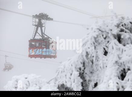 Oberwiesenthal, Deutschland. Februar 2020. Eine Vollgondel der Fichtelbergbahn schwimmt den Fichtelberg hinauf. Am selben Tag beginnen die zweiwöchigen Winterferien in Sachsen. Nach den warmen Tagen mit viel Regen hoffen die sächsischen Skigebiete wieder auf kaltes Wetter, vorzugsweise verbunden mit Schneefall. Kredit: Jan Woitas / dpa-Zentralbild / dpa / Alamy Live News Stockfoto