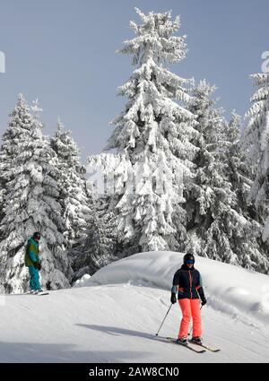 Oberwiesenthal, Deutschland. Februar 2020. Wintersportler fahren auf dem Fichtelberg durch den Winterwald. Am selben Tag beginnen die zweiwöchigen Winterferien in Sachsen. Nach den warmen Tagen mit viel Regen hoffen die sächsischen Skigebiete wieder auf kaltes Wetter, vorzugsweise verbunden mit Schneefall. Kredit: Jan Woitas / dpa-Zentralbild / ZB / dpa / Alamy Live News Stockfoto