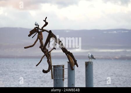 Eine Möwe und eine Möwe auf Treibholzskulpturen aus dem Flottinsdorf, die einige Wochen bis Weihnachten in Evian-Les-Bains auf t stattfindet Stockfoto