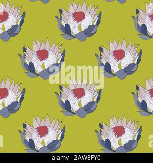 Vektormustersatz von Proteas. Stock Vektor