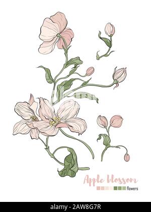 Vector Design Elementsatz. Hochzeitsvektor lädt Karte ein. Stock Vektor