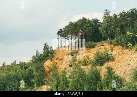 Hohe felsige sandige steile Bank mit Pinien bedeckt Stockfoto