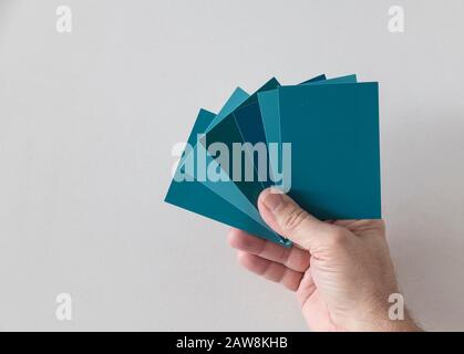 Hand eines Mannes mit verschiedenen Farbfeldern zur Bestimmung der richtigen Farbe der Farbe an einer Wand Stockfoto