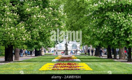 Blumenbeet im Ogrod Saski mit blühenden Kastanienbäumen, Statue und Brunnen in Warschau, Polen Stockfoto