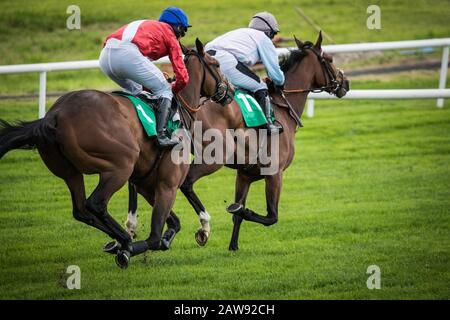 Zwei Rennpferde und Jockeys, die auf der Rennstrecke antreten Stockfoto