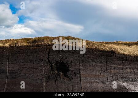 Querschnitt der kultivierten Torfmoor-Erdkrustenlandschaft im ländlichen Irland Stockfoto