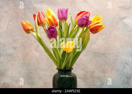 Viele Tulpen in einer grünen Vase vor einem hellen Hintergrund Stockfoto