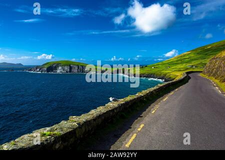 Single Track Küstenstraße am Slea Head in Irland Stockfoto