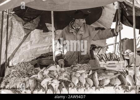 Essaouira, Marokko Fischhändler Stockfoto