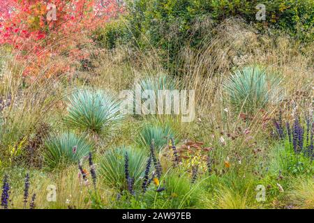 Frankreich, Loir et Cher, Loire-Tal, das von der UNESCO zum Weltkulturerbe ernannt wurde, Chaumont sur Loire-Gebiet, Domäne von Chaumont sur Loire-Tal, Internationales Gartenfestival Stockfoto