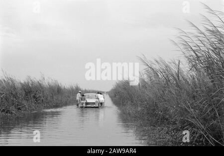 Männer, Autos, Hochwasser Datum: Undatierte Stichwörter: Autos, Männer, Überschwemmungen Stockfoto