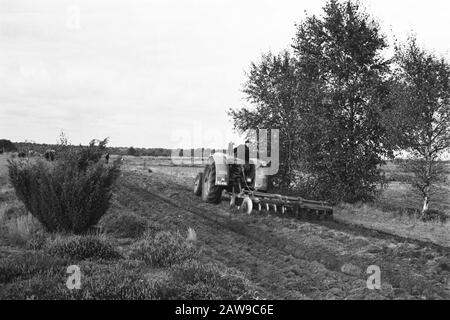 Landgut Junne Anmerkung: Das Weilergelände Junne war von 1872 bis 1932 im Besitz der Familie Lüps. Danach fiel das gut in die Hände von M. Baron Bentinck für Buck Horst aus Beerze. Nach dem Tod von Frau Bentinck am 29. Juni 1938 verkaufte das gut für 400.000 Gulden Versicherung Amstleven, den heutigen Delta Lloyd. Anno 2014, das Anwesen noch immer im Besitz von Delta Lloyd. Vor dem zweiten Weltkrieg befand sich in Junne ein Arbeitslosen-Hilfslager, in dem das gut der Versicherung mit staatlicher Unterstützung und unter der Führung der niederländischen Heidemaatschappij arbeitslose Arbeitskräfte Bergbauaktivitäten ausüben musste Stockfoto