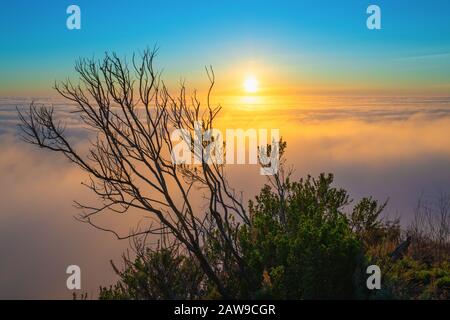 Meeresschicht über dem Pazifischen Ozean bei Sonnenuntergang. Luftbild, kalifornische Küste Stockfoto