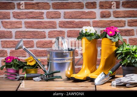 Gartenwerkzeuge Und Blumen Bereit Zum Pflanzen Stockfoto