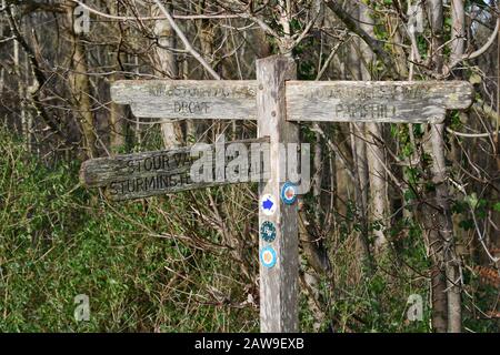 Wegweiser aus Holz auf dem Kingston Lacey Estate mit Wegbeschreibung zum Stour Valley Way, Sturminster Marshall, Kingston Lacey Drove und Pamphill. Stockfoto