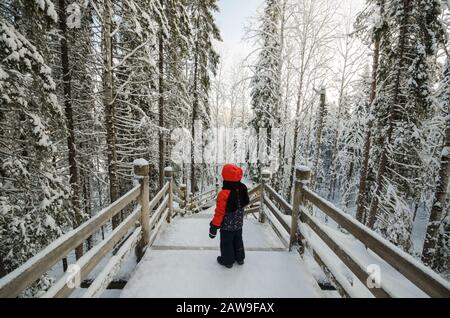 Januar 2020 - Malye Korely. Kleinkind auf einer Holztreppe in einem verschneiten Wald. Russland, Region Archangelsk Stockfoto