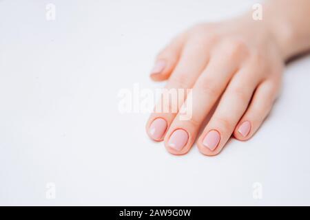 Schöne weibliche Maniküre pink, Hände auf weißem Hintergrund mit zarten Blumen. Konzept Hautpflege, feuchtigkeitsspendende Creme. Stockfoto