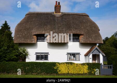 Reetched Cottage, Essex, Großbritannien Stockfoto