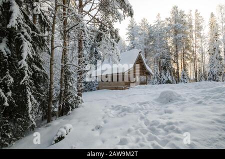 Januar 2020 - Malye Korely. Die Holzkapelle von Elia, dem Propheten, im Winterwald. Russland, Region Archangelsk Stockfoto