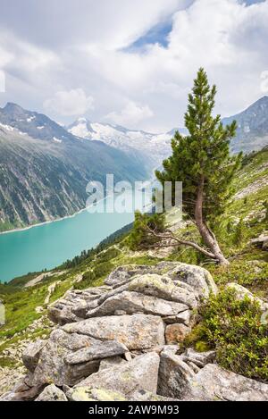 Schöner Blick über einen Gletschersee in den Alpen von Tyrol mit Felsen und einsamer Kiefer im Vordergrund Stockfoto