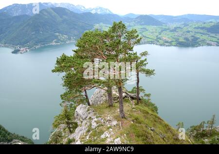 Der Traunsee ist einer von vielen schönen Seen im berühmten Salzkammergut in Österreich. Sie wird vom Traunstein aus gesehen, einem sehr beliebten Berghügel Stockfoto