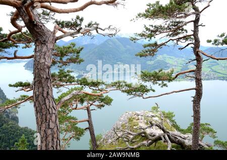 Der Traunsee ist einer von vielen schönen Seen im berühmten Salzkammergut in Österreich. Sie wird vom Traunstein aus gesehen, einem sehr beliebten Berghügel Stockfoto