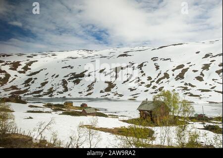 Hordaland/Norwegen. 06.29.2015.Schneelandschaften der Vossevangener Berge in Norwegen Stockfoto