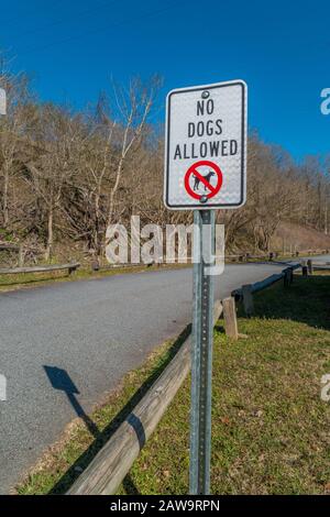 Am Eingang des Parks befindet sich ein Schild mit dem Hinweis "keine Hunde Erlaubt" auf einem Metallpfosten neben der Straße vor dem Parkplatz mit den Waldflächen im Hintergrund o Stockfoto