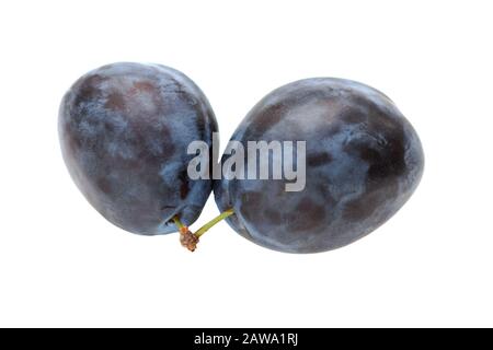 Frische Pflaumen auf dem weißen Hintergrund isoliert. Stockfoto