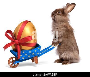 Süßes Osterhase Kaninchen mit einem kleinen blauen Schubkarren und einem goldenen Osterei mit rotem Band, isoliert auf Weiß, CG und Foto Stockfoto