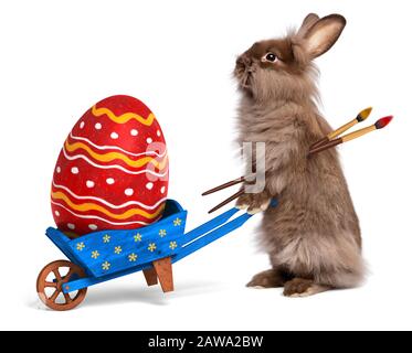 Süßes Osterhase Kaninchen mit einem kleinen blauen Schubkarren und einem rot gestrichenen Osterei, isoliert auf Weiß, CG und Foto Stockfoto