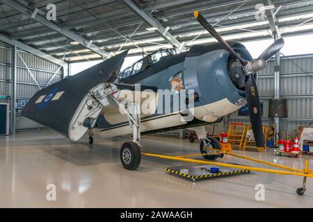 Ein Grumman TBM Avenger, Torpedobomber des zweiten Weltkriegs im Hangar mit gefalteten Flügeln, Ohakea, Neuseeland. Besitz und geflogen von Brendon Deere. Stockfoto