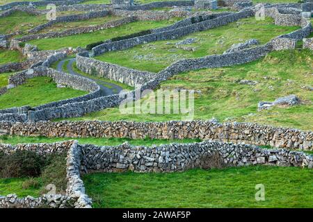 Steinmauern und Felder auf der Insel Inishmaan, inmitten der Aran-Inseln auf dem Wilden Atlantikweg in Galway Ireland Stockfoto