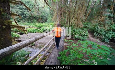 Ein Wanderer, der eine Blockbrücke im Elk Creek Conservation Area im alten gemäßigten Regenwald des olympischen Peninsula, Washington, USA, überquert. Stockfoto