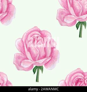 Rosa Rosen Aquarell nahtloses Muster auf weißem Hintergrund. Rosa Rosen handgezeichnet in Aquarell für Tapeten, Ausdrucke, Einladungen usw. Stockfoto