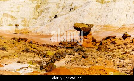 Toadstool Hoodoos vor dem Hintergrund der bunten Sandstein-Berge im Grand Staircase-Escalante Monument in Utah, Unites States Stockfoto