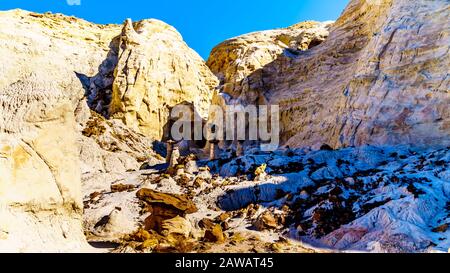 Toadstool Hoodoos vor dem Hintergrund der bunten Sandstein-Berge im Grand Staircase-Escalante Monument in Utah, Unites States Stockfoto