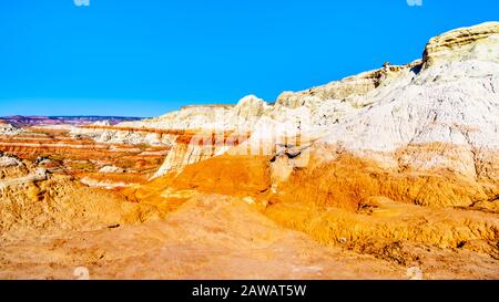 Toadstool Hoodoos vor dem Hintergrund der bunten Sandstein-Berge im Grand Staircase-Escalante Monument in Utah, Unites States Stockfoto