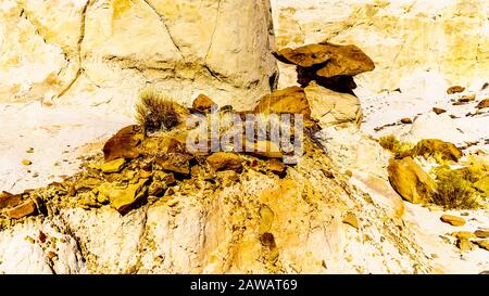 Toadstool Hoodoos vor dem Hintergrund der bunten Sandstein-Berge im Grand Staircase-Escalante Monument in Utah, Unites States Stockfoto