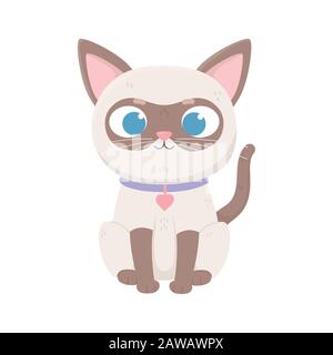 Niedliche kleine siamkatze mit Halsband Herzmedaillon, Tiervektorillustration Stock Vektor