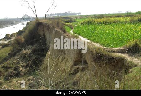 Rupandehi & Nawalparasi Different Area fotografieren diesen Vogel & Geier & Landschaft . Stockfoto