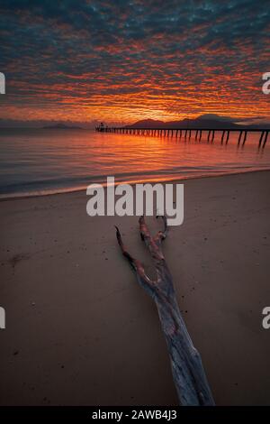 Melden Sie sich am Strand mit Cardwell Jetty im Hintergrund bei Sonnenaufgang, Cardwell North Queensland, Australien an Stockfoto