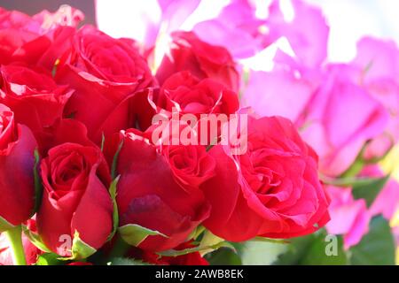 Nahaufnahme der roten Rosen-Gruppe mit verwischtem rosa Rosen-Hintergrund auf dem Straßenmarkt, Outdoor-Rosen verkauft Stockfoto