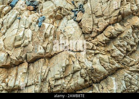 Marmornes Wandbild im Mosaic Canyon im Todes-Valley-Nationalpark, Kalifornien, USA Stockfoto