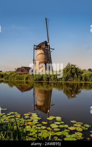 KINDERDIJK, NIEDERLANDE - 04. JULI 2019: Historische Windmühle in Kinderdijk mit Spiegelung in einem Kanal Stockfoto