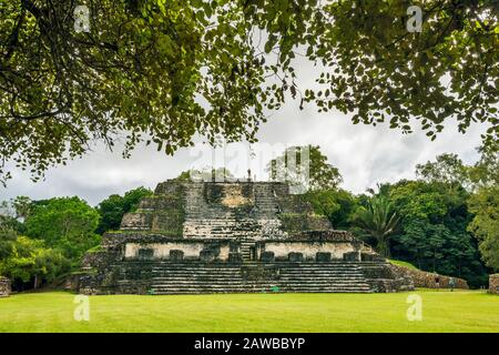 Tempel der Maureraltäre alias Tempel des Sonnengottes bei Altun ha, Maya-Ruinen, Regenwald, Old Northern Highway, Belize District, Belize Stockfoto