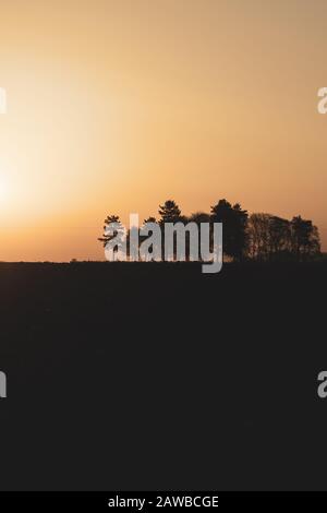 Silhouette der Bäume bei Sonnenuntergang, Sonne hinter dem Wald, Abendlandschaft Stockfoto